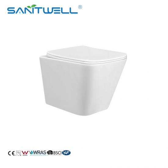 rimless wall hung toilet