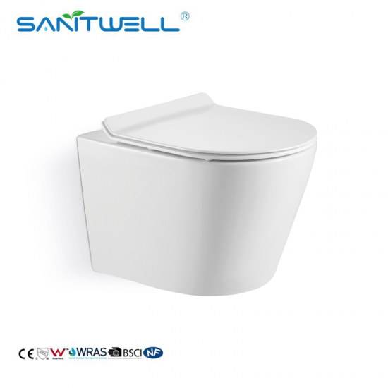 wall mounted toilet