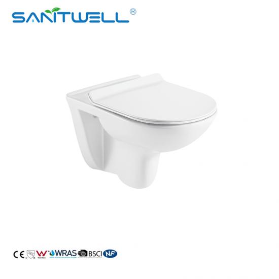 wall mounted toilet