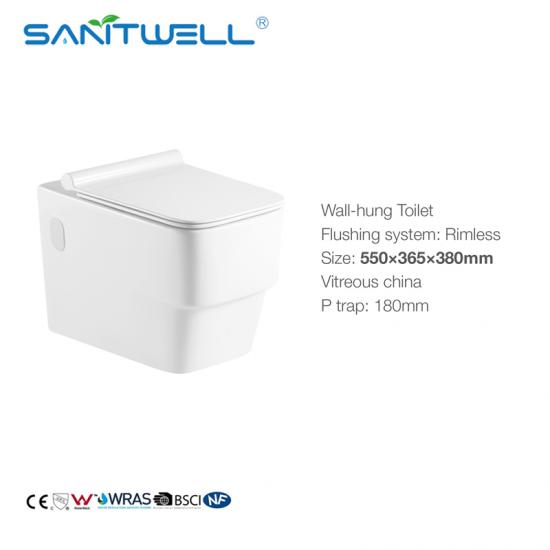 wall mounted toilet