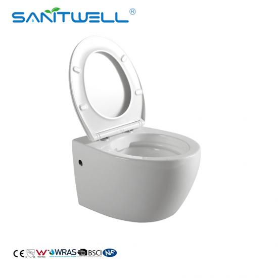 wall mounted toilet