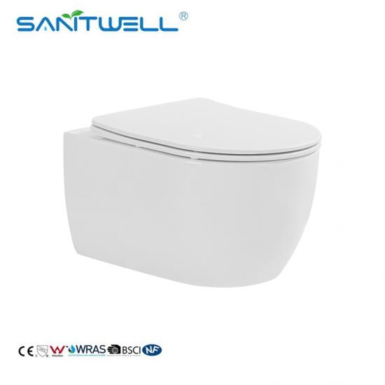 wall hung toilet