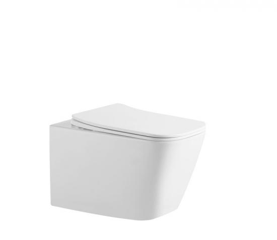 Wall hung toilet