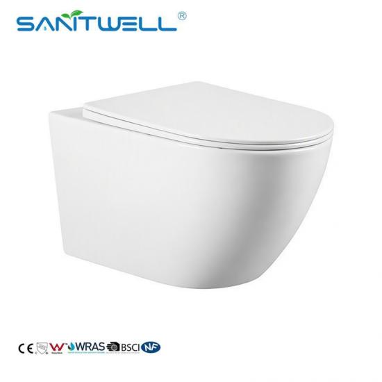 Wall hung toilet